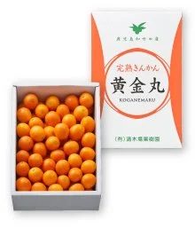 完熟きんかん黄金丸2kg